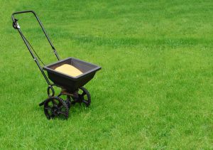 South Florida Lawn Care | SouthernGreenUSA.com