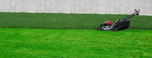 lawn care jacksonville fl