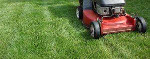 south florida lawn care