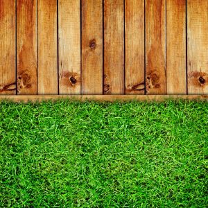 Lawn Care St. Petersburg FL | SouthernGreenUSA.com