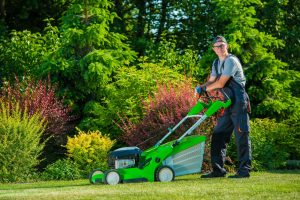 Lawn Care Tampa | SouthernGreenUSA.com