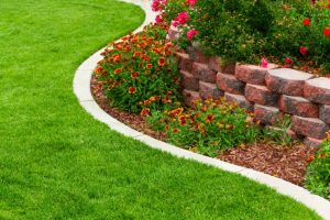 South Florida Lawn Care | SouthernGreenUSA.com