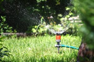 Lawn Care St Petersburg FL | SouthernGreenUSA.com