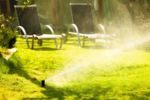 Lawn Care Jacksonville FL | SouthernGreenUSA.com